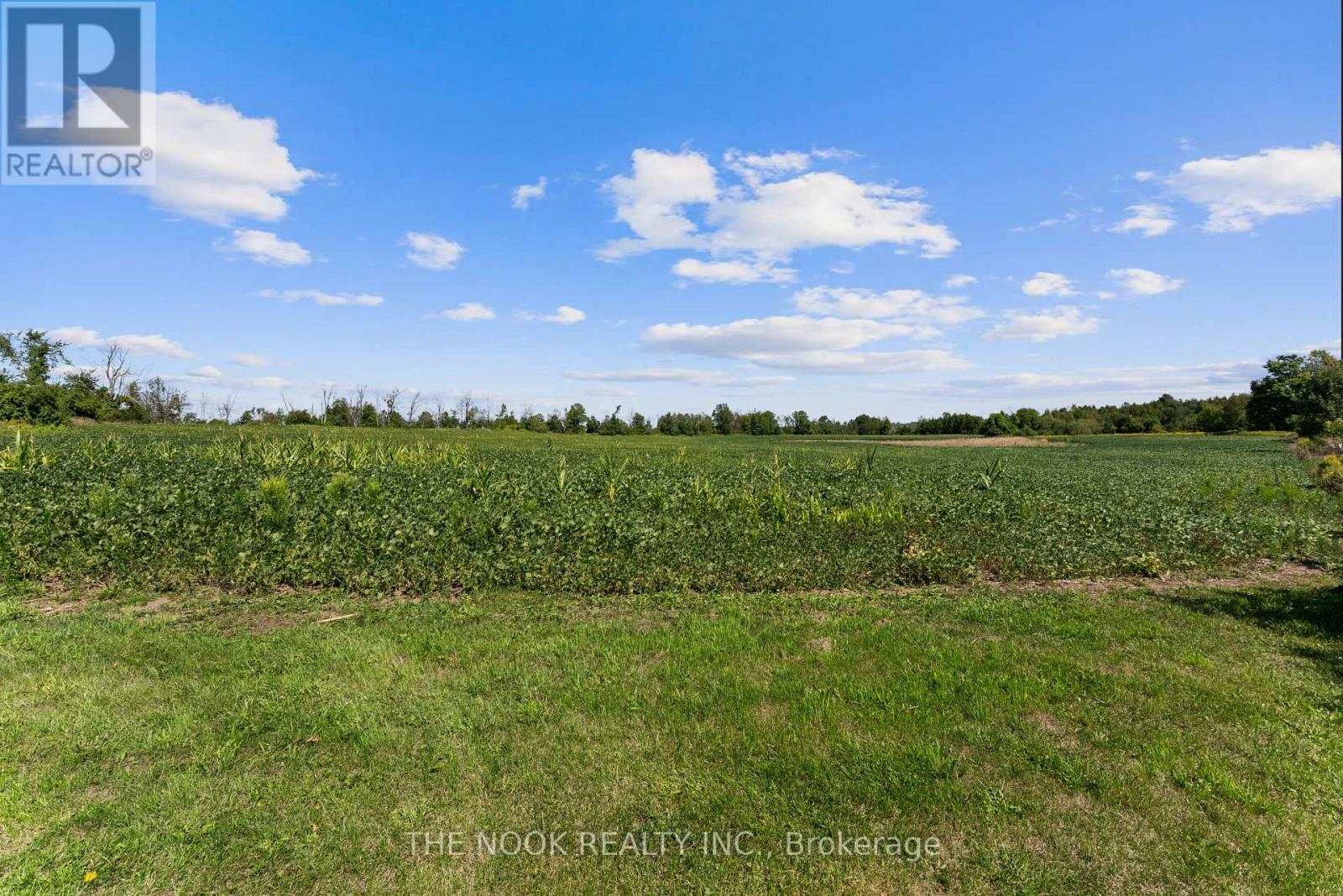 2123 Esson Line, Otonabee-South Monaghan, Ontario  K0L 2B0 - Photo 46 - X12821698