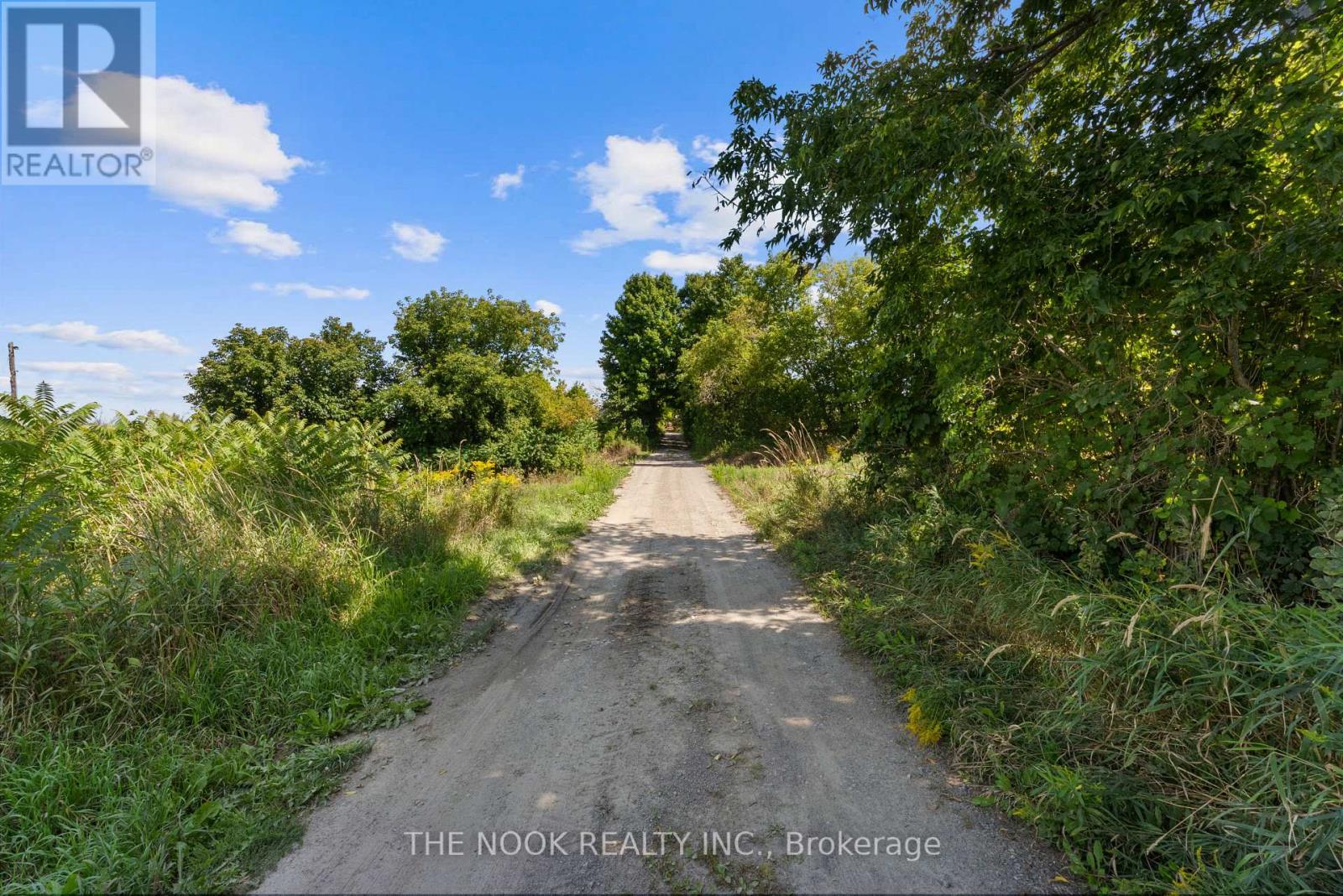 2123 Esson Line, Otonabee-South Monaghan, Ontario  K0L 2B0 - Photo 47 - X12821698