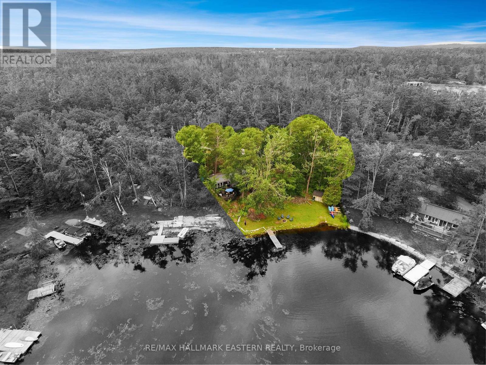 2335 Lakeside Road, Douro-Dummer, Ontario  K0L 2H0 - Photo 8 - X12821712