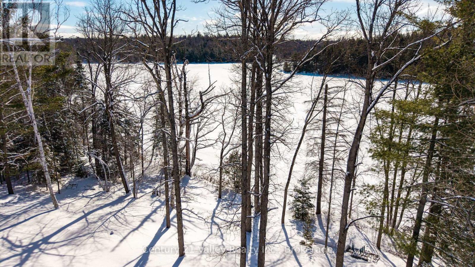 3233 Calabogie Road, Greater Madawaska, Ontario  K0J 1H0 - Photo 5 - X12821734