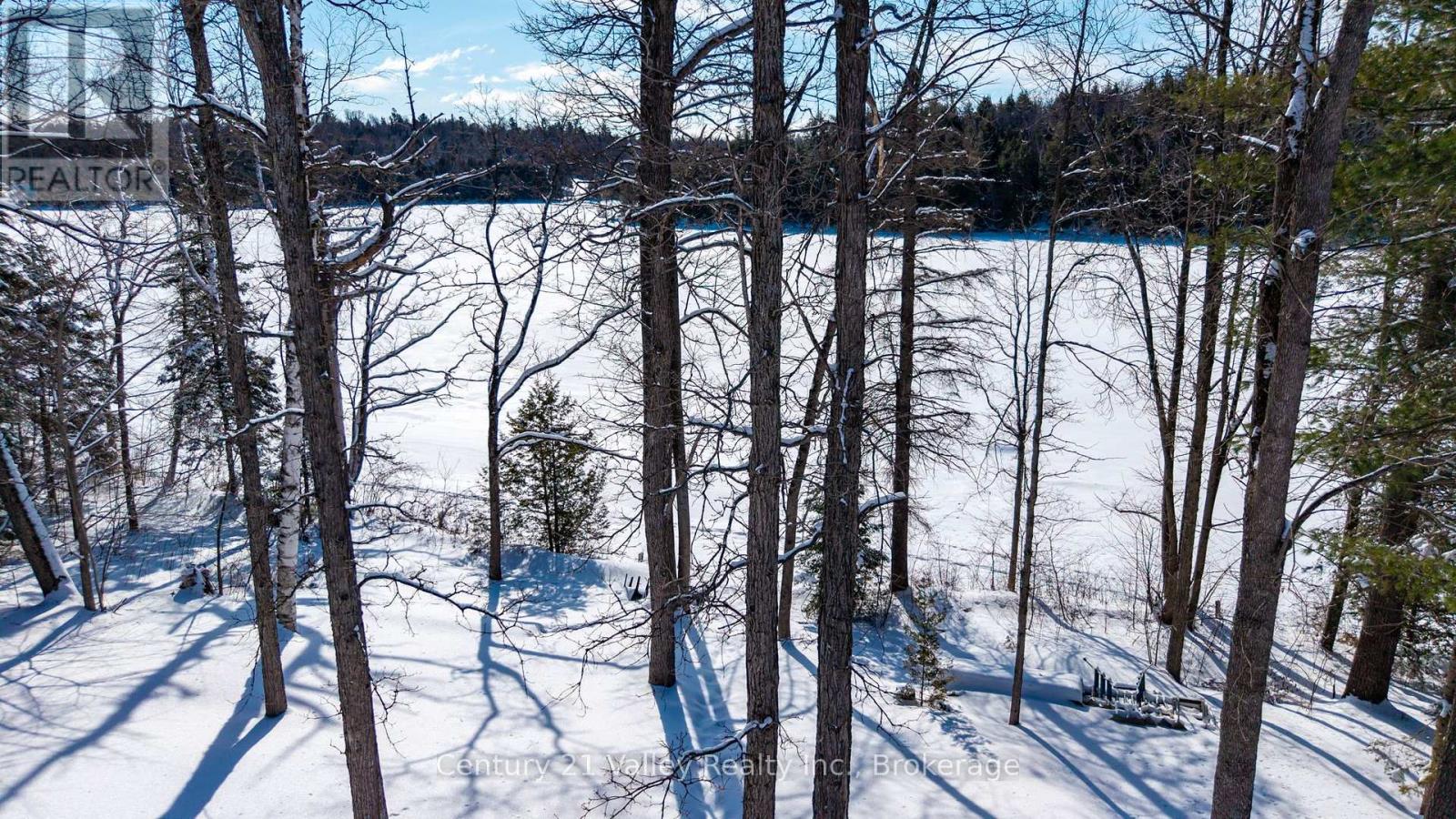 3233 Calabogie Road, Greater Madawaska, Ontario  K0J 1H0 - Photo 6 - X12821734