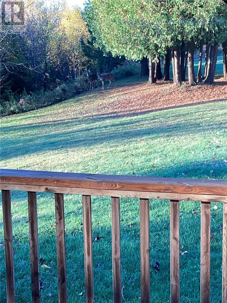 162 15th Sideroad E, Tehkummah, Ontario  P0P 2C0 - Photo 28 - 2126200