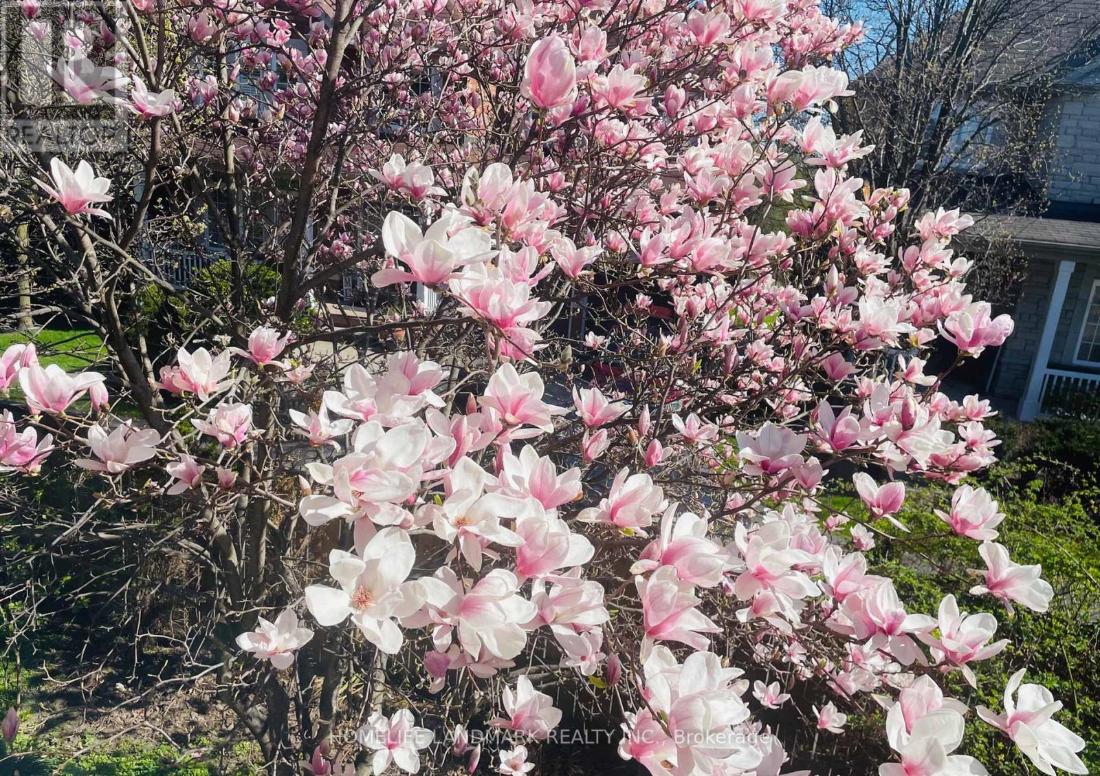 2319 Wildwood Crescent, Pickering, Ontario  L1X 2N1 - Photo 15 - E12821644