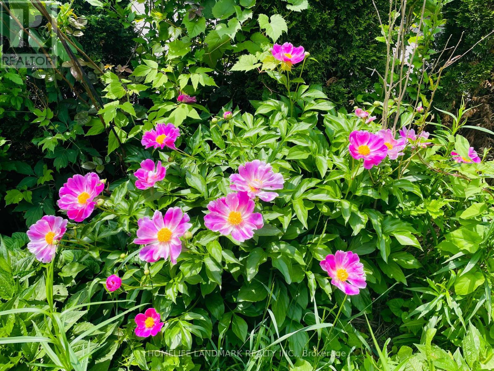 2319 Wildwood Crescent, Pickering, Ontario  L1X 2N1 - Photo 20 - E12821644