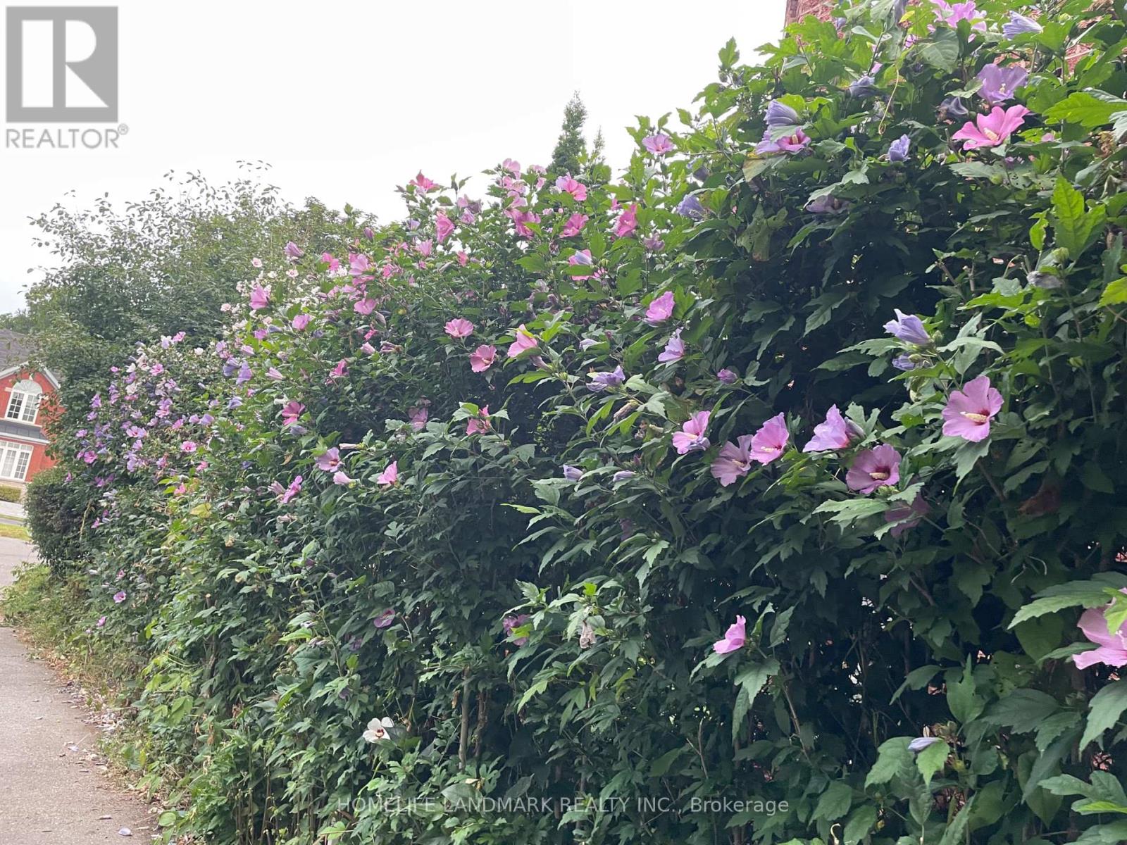 2319 Wildwood Crescent, Pickering, Ontario  L1X 2N1 - Photo 18 - E12821644