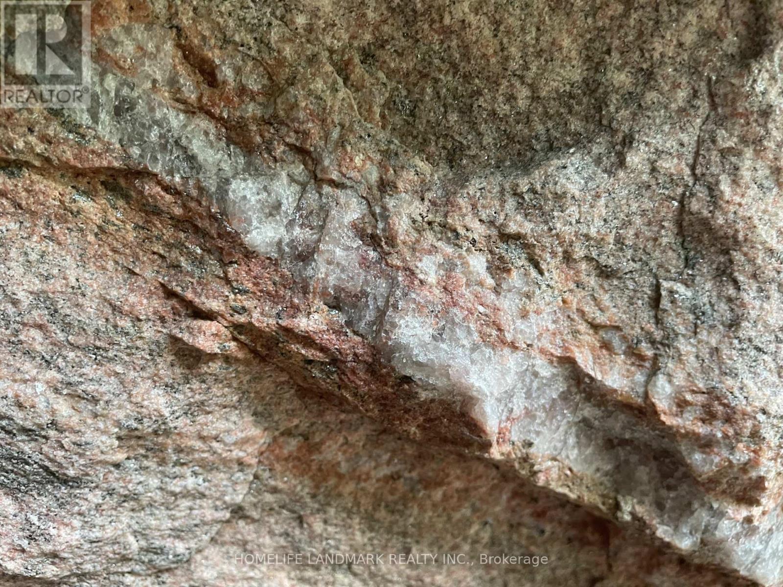 2319 Wildwood Crescent, Pickering, Ontario  L1X 2N1 - Photo 4 - E12821644