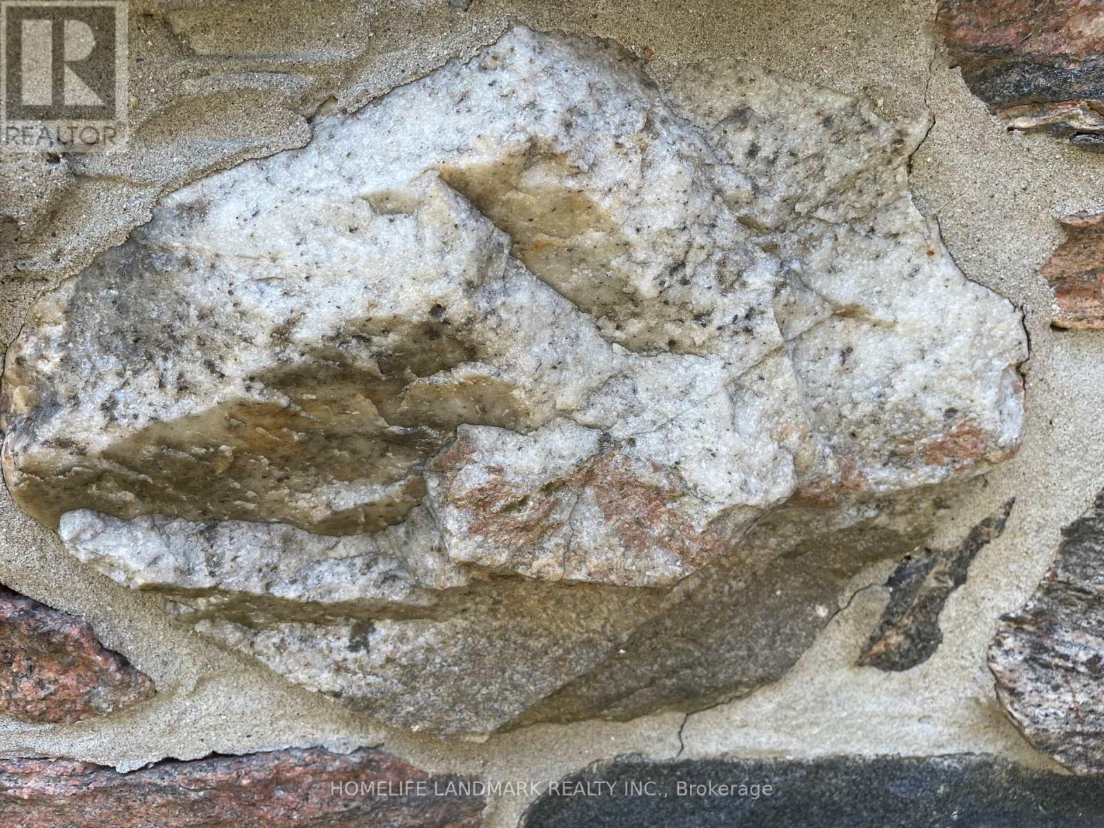 2319 Wildwood Crescent, Pickering, Ontario  L1X 2N1 - Photo 5 - E12821644