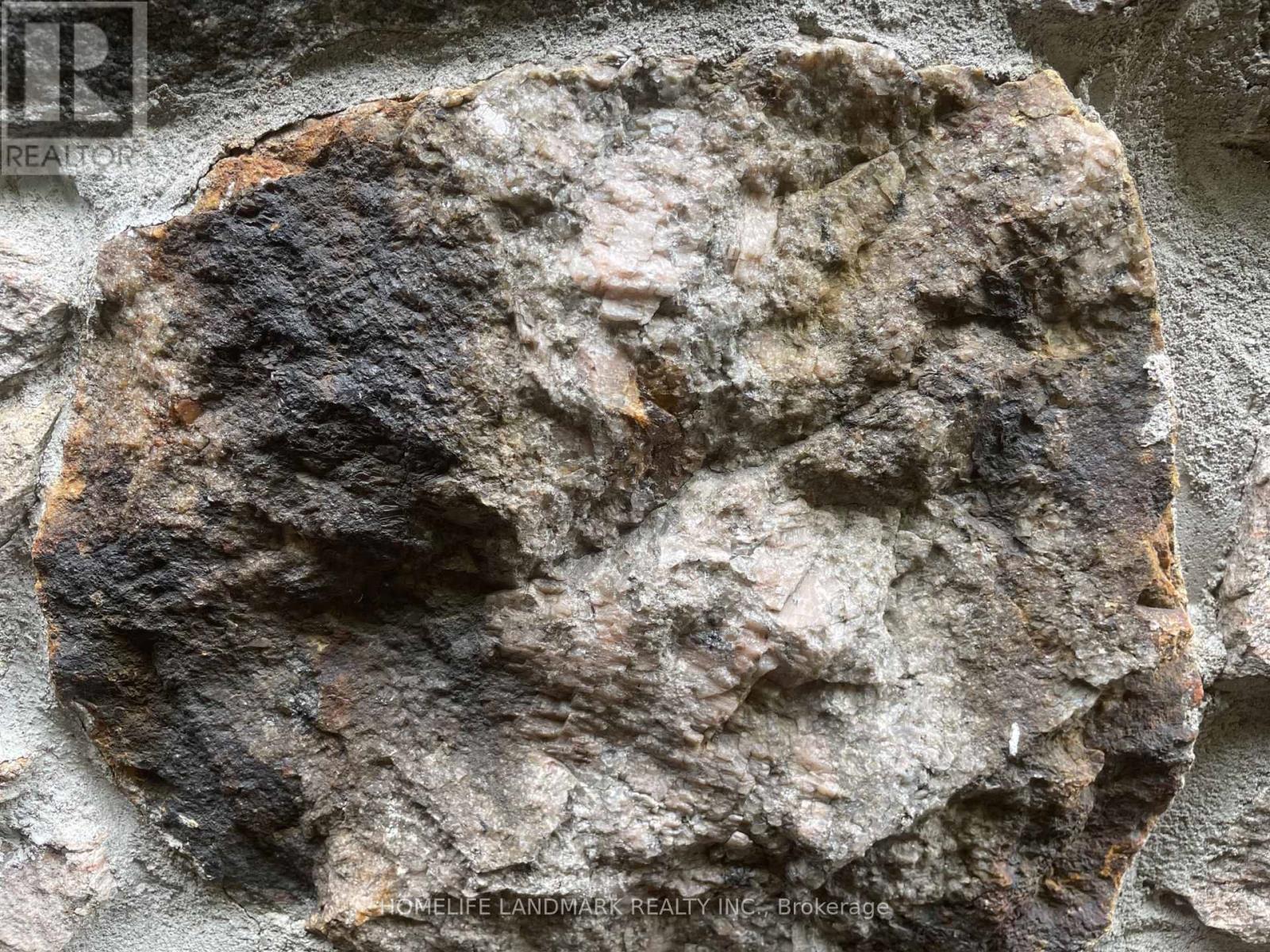 2319 Wildwood Crescent, Pickering, Ontario  L1X 2N1 - Photo 7 - E12821644