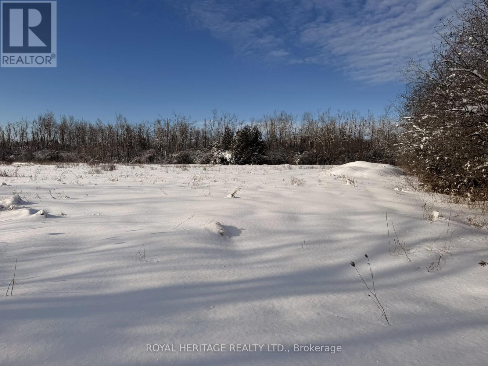 N/a Traceys Hill Road, Kawartha Lakes, Ontario  K9V 4R5 - Photo 1 - X12818002