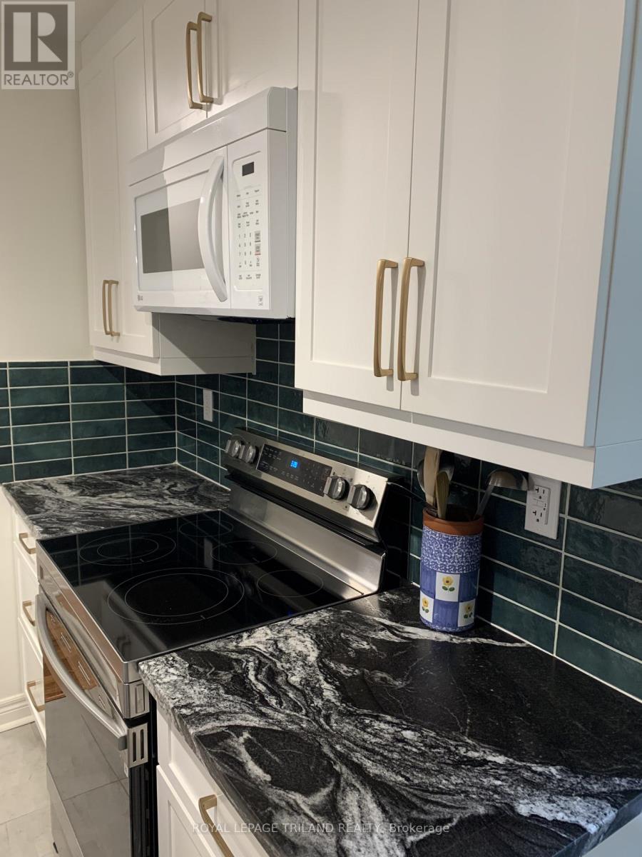 204 - 275 Queens Avenue, London East, Ontario  N6B 1X2 - Photo 18 - X12821884