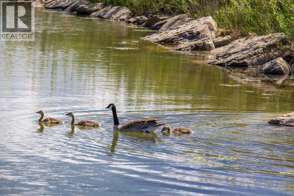 232 Windford Crescent Sw, Airdrie, Alberta  T4B 4G5 - Photo 34 - A2288569