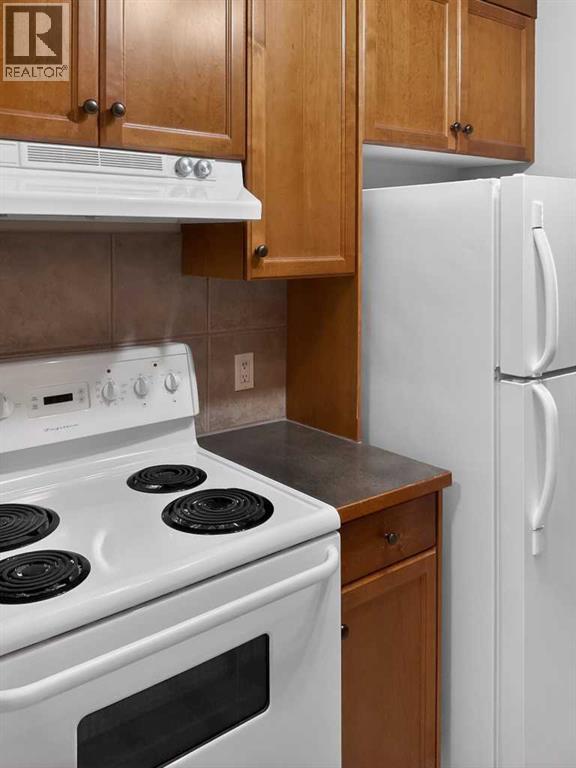 H202, 2004 13 Avenue N, Lethbridge, Alberta  T1H 5B1 - Photo 8 - A2288761