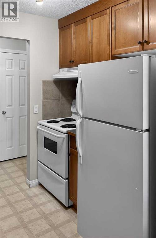 H202, 2004 13 Avenue N, Lethbridge, Alberta  T1H 5B1 - Photo 9 - A2288761