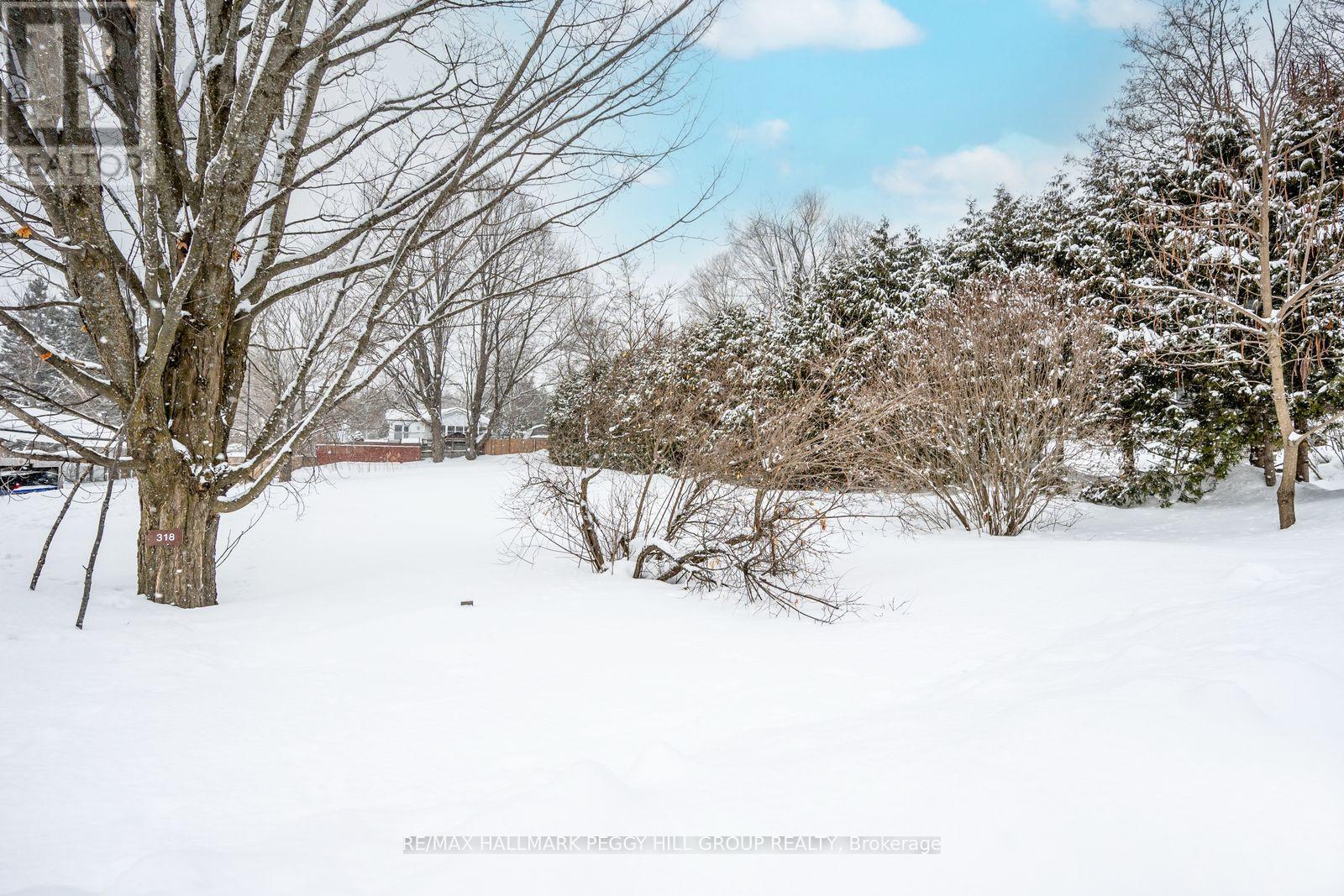 318 Palmer Street, Tay (Waubaushene), Ontario  L0K 2C0 - Photo 4 - S12821978