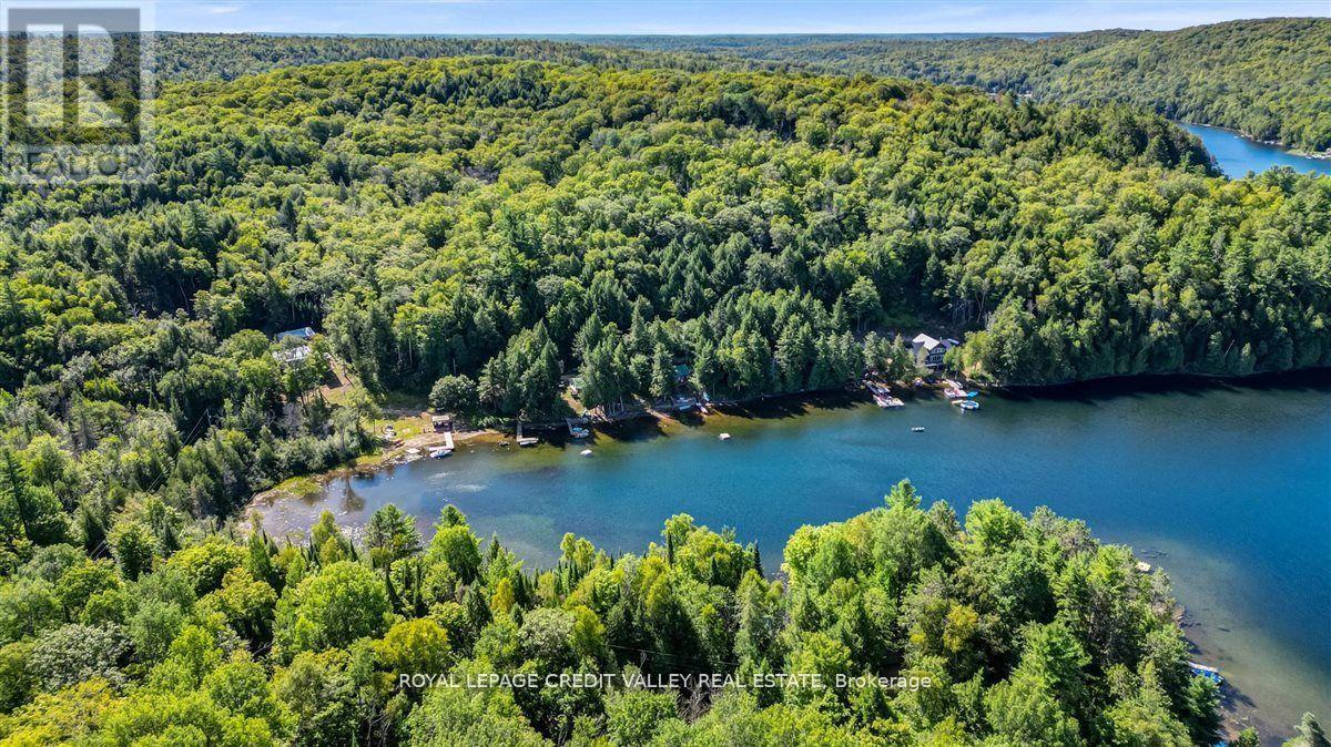 292 Caroline Court, Faraday, Ontario  K0L 1C0 - Photo 30 - X12822040