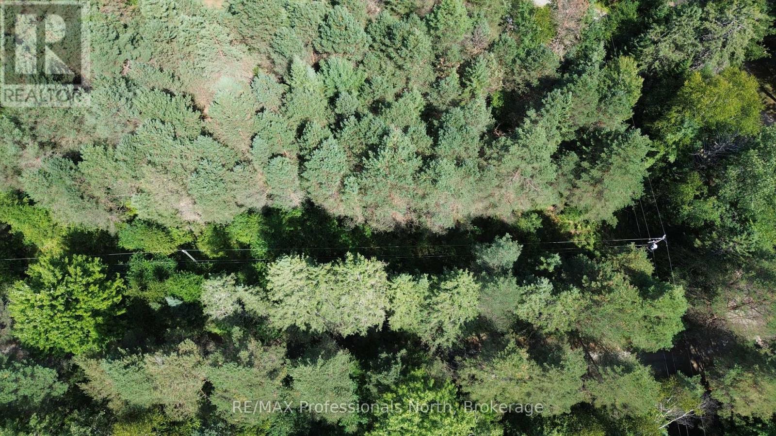 0 Barry Line Road, Algonquin Highlands, Ontario K0M 1S0 - Photo 12 - X12822138