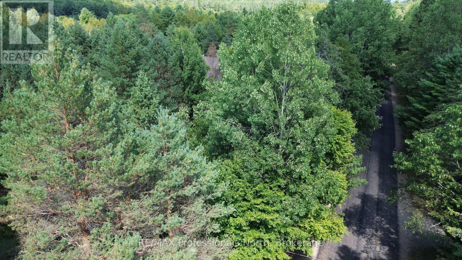 0 Barry Line Road, Algonquin Highlands, Ontario K0M 1S0 - Photo 5 - X12822138