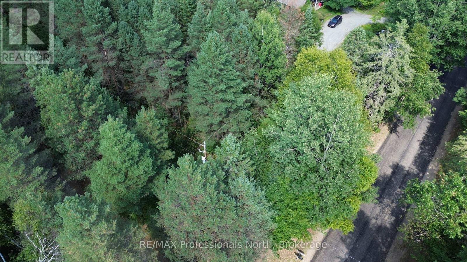 0 Barry Line Road, Algonquin Highlands, Ontario K0M 1S0 - Photo 6 - X12822138