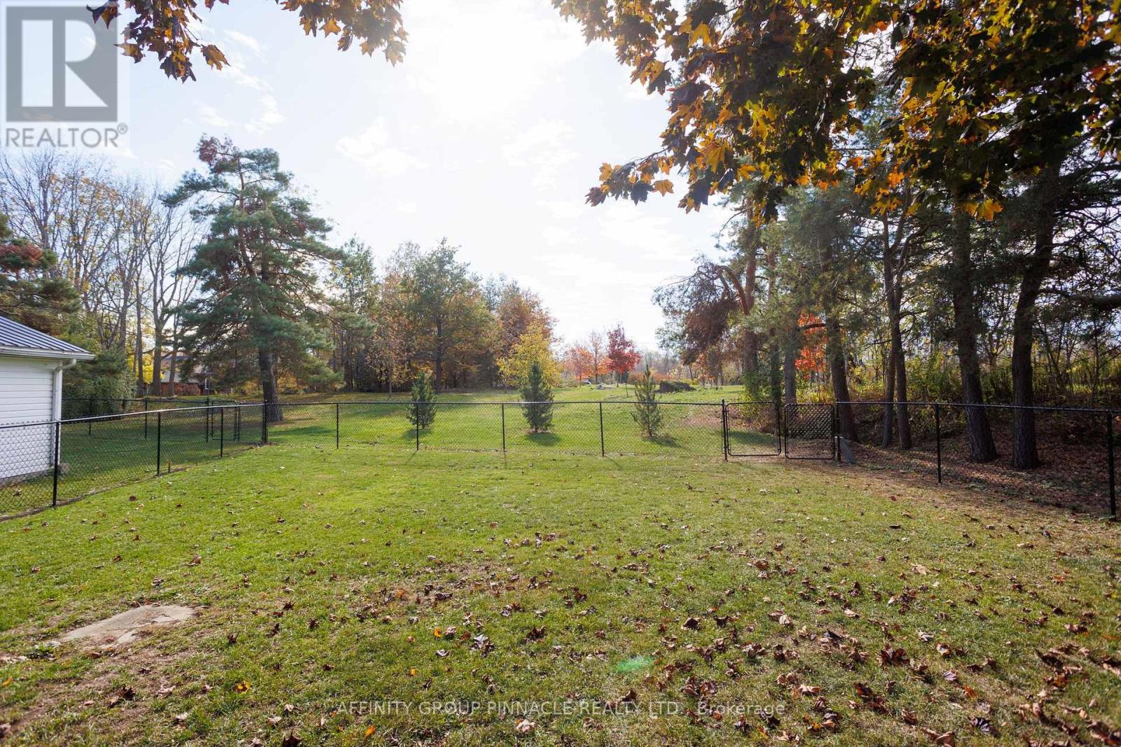 187 King Street W, Brock, Ontario  L0K 1A0 - Photo 9 - N12822334