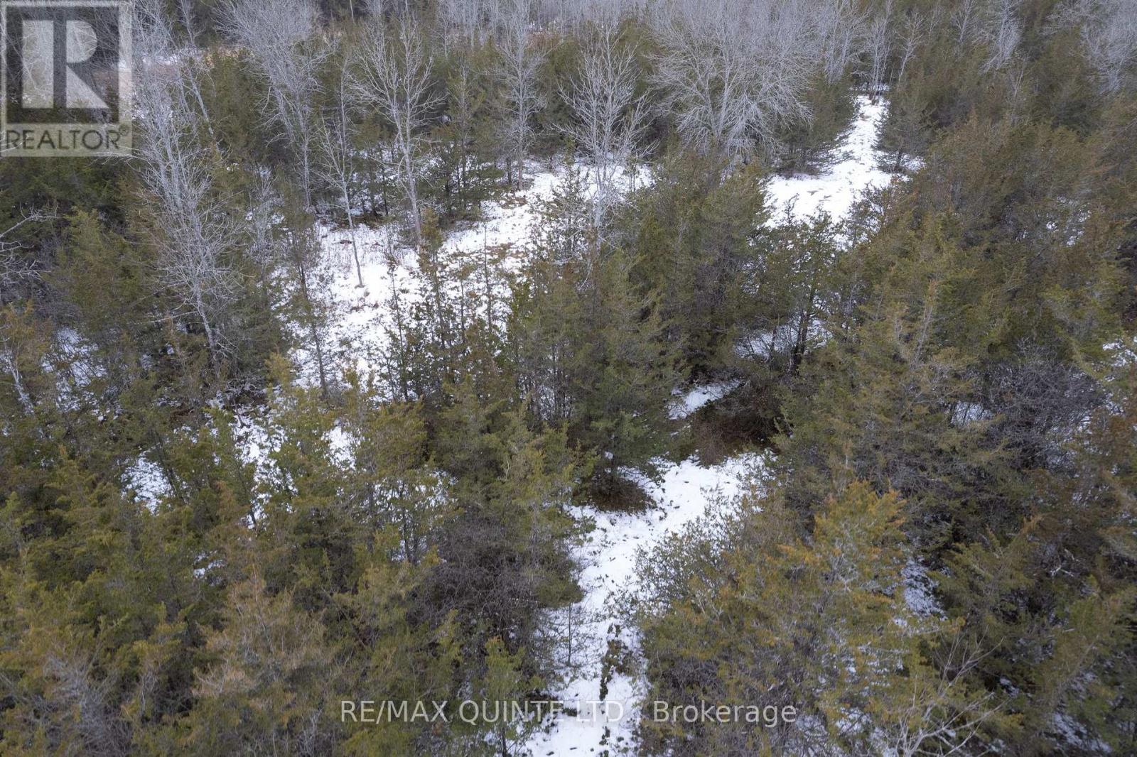 Part 2 - 0 Abrams Road, Greater Napanee (Greater Napanee), Ontario  K7R 3K8 - Photo 12 - X12822088