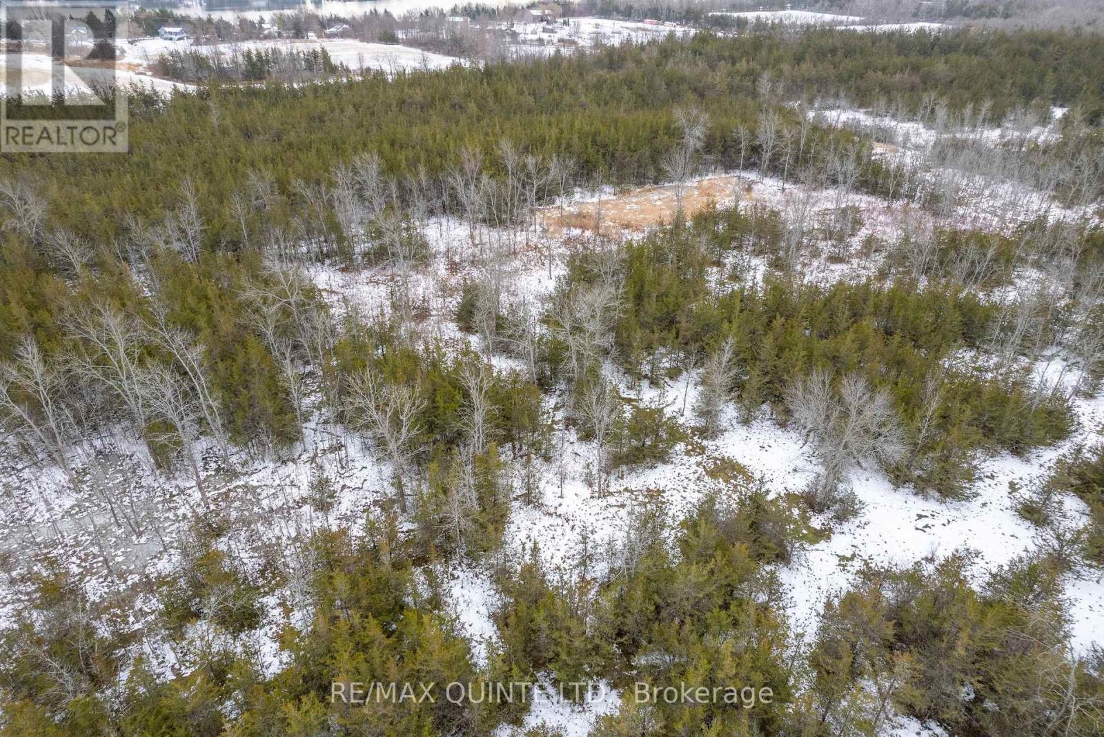 Part 2 - 0 Abrams Road, Greater Napanee (Greater Napanee), Ontario  K7R 3K8 - Photo 13 - X12822088