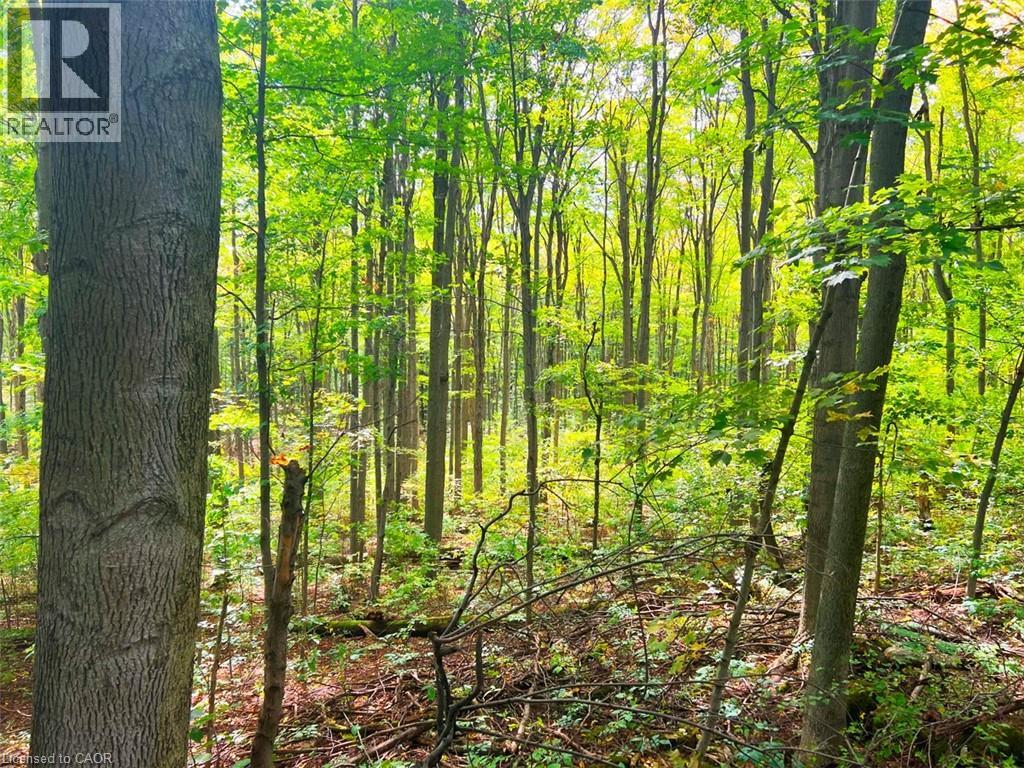 0 Mountsberg Road, Hamilton, Ontario  L0P 1B0 - Photo 5 - 40807551