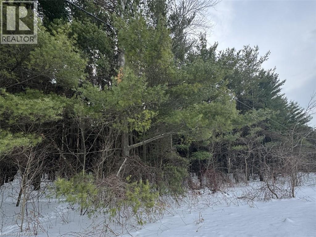 0 Mountsberg Road, Hamilton, Ontario  L0P 1B0 - Photo 9 - 40807551