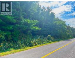 0 MOUNTSBERG Road, Hamilton, Ontario