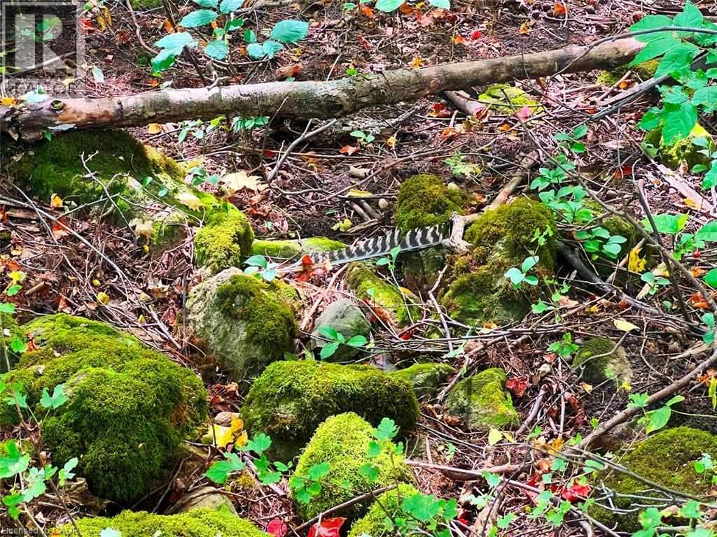 0 Mountsberg Road, Hamilton, Ontario  L0P 1B0 - Photo 6 - 40807551