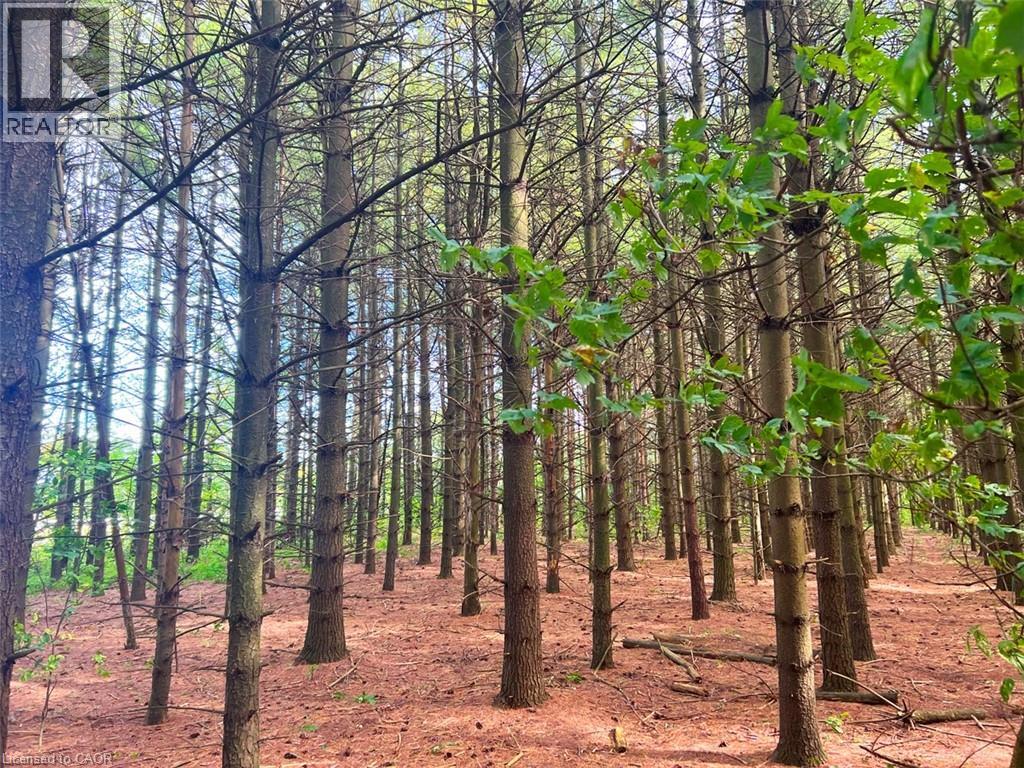 0 Mountsberg Road, Hamilton, Ontario  L0P 1B0 - Photo 3 - 40807551