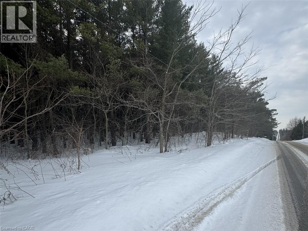 0 Mountsberg Road, Hamilton, Ontario  L0P 1B0 - Photo 8 - 40807551