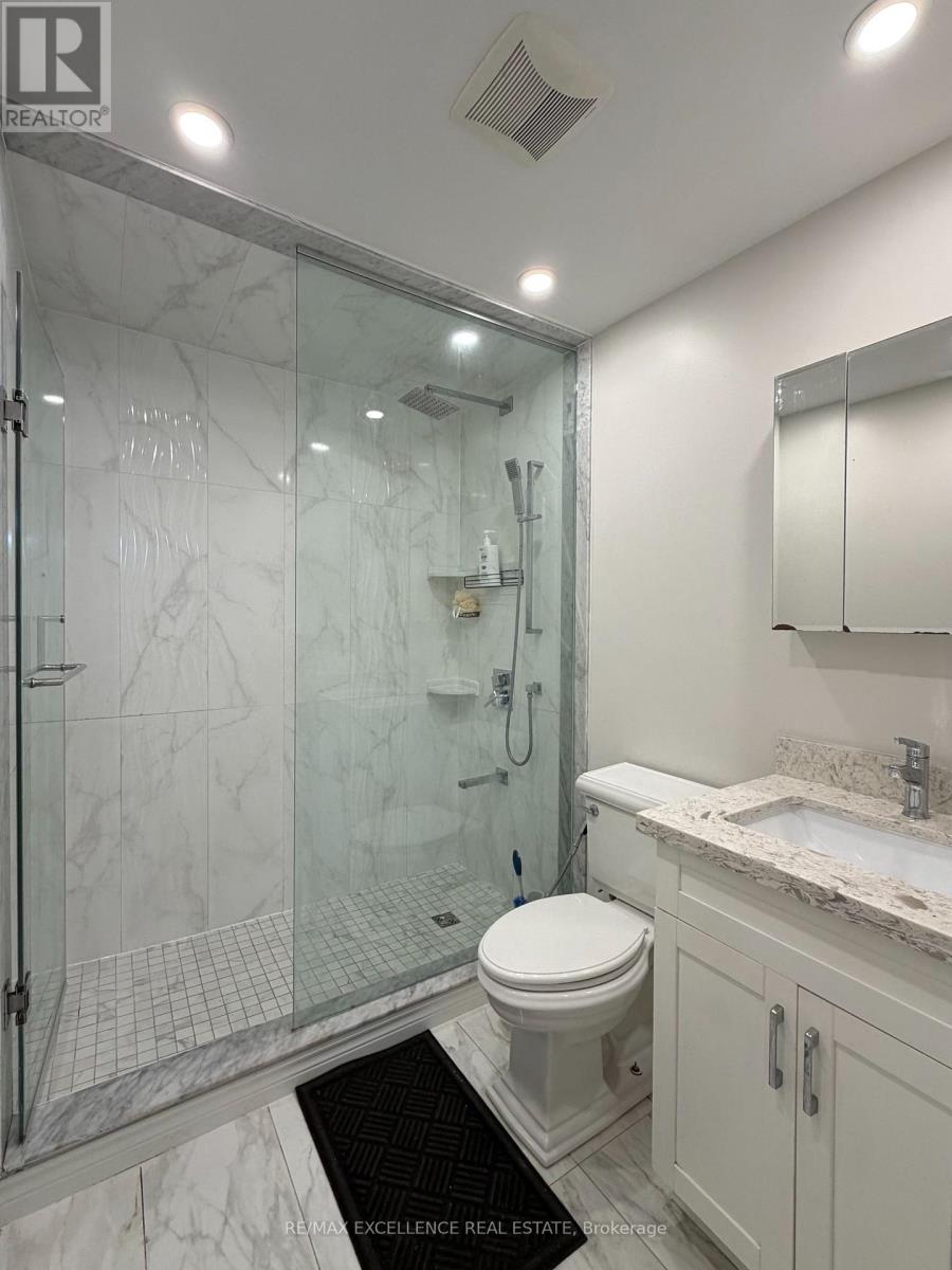 Lower - 4568 Centretown Way, Mississauga, Ontario  L5R 0E2 - Photo 9 - W12822270