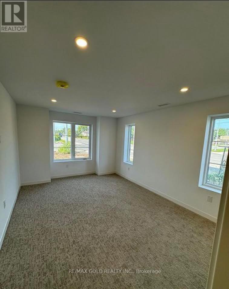 101 - 119 Lincoln Street, Welland, Ontario  L3C 0L2 - Photo 3 - X12822148