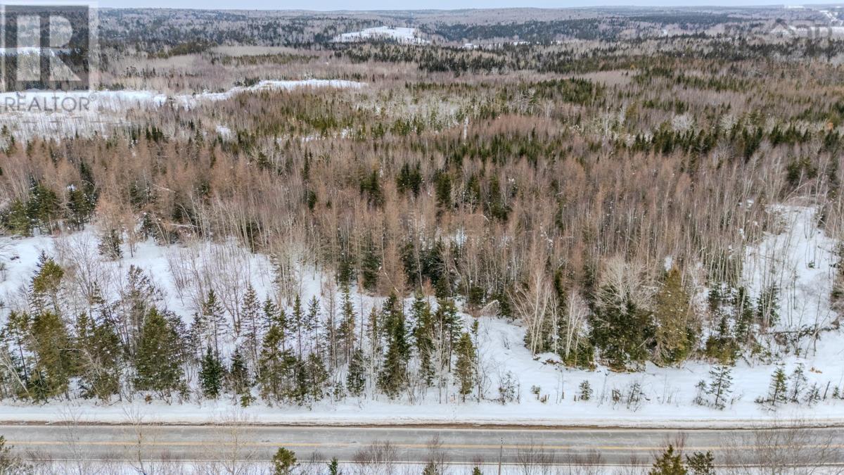 Lot Pleasant Valley Road, Pleasant Valley, Nova Scotia  B0N 1C0 - Photo 7 - 202603388