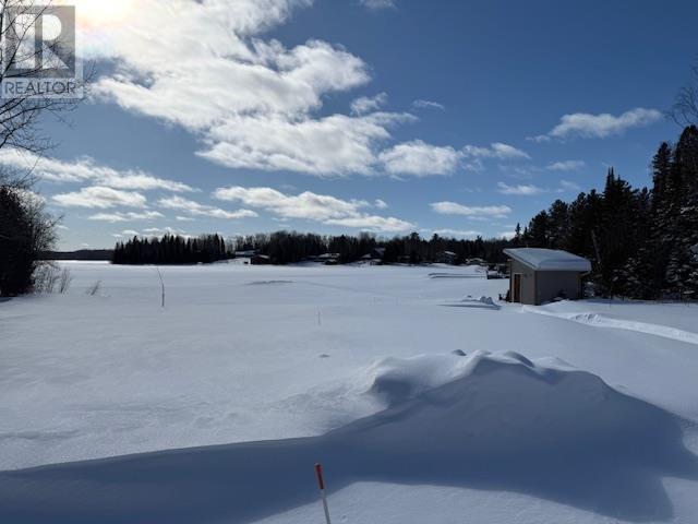 13 Silver Fox Rd N, Shebandowan, Ontario  P0T 2T0 - Photo 31 - TB2600299