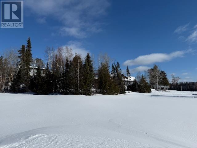 13 Silver Fox Rd N, Shebandowan, Ontario  P0T 2T0 - Photo 35 - TB2600299