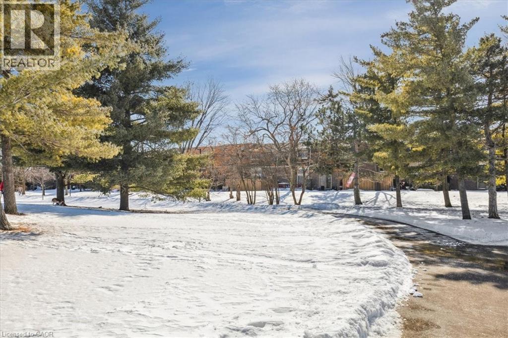 7430 Copenhagen Road Unit# 32, Mississauga, Ontario  L5N 2C4 - Photo 45 - 40807657