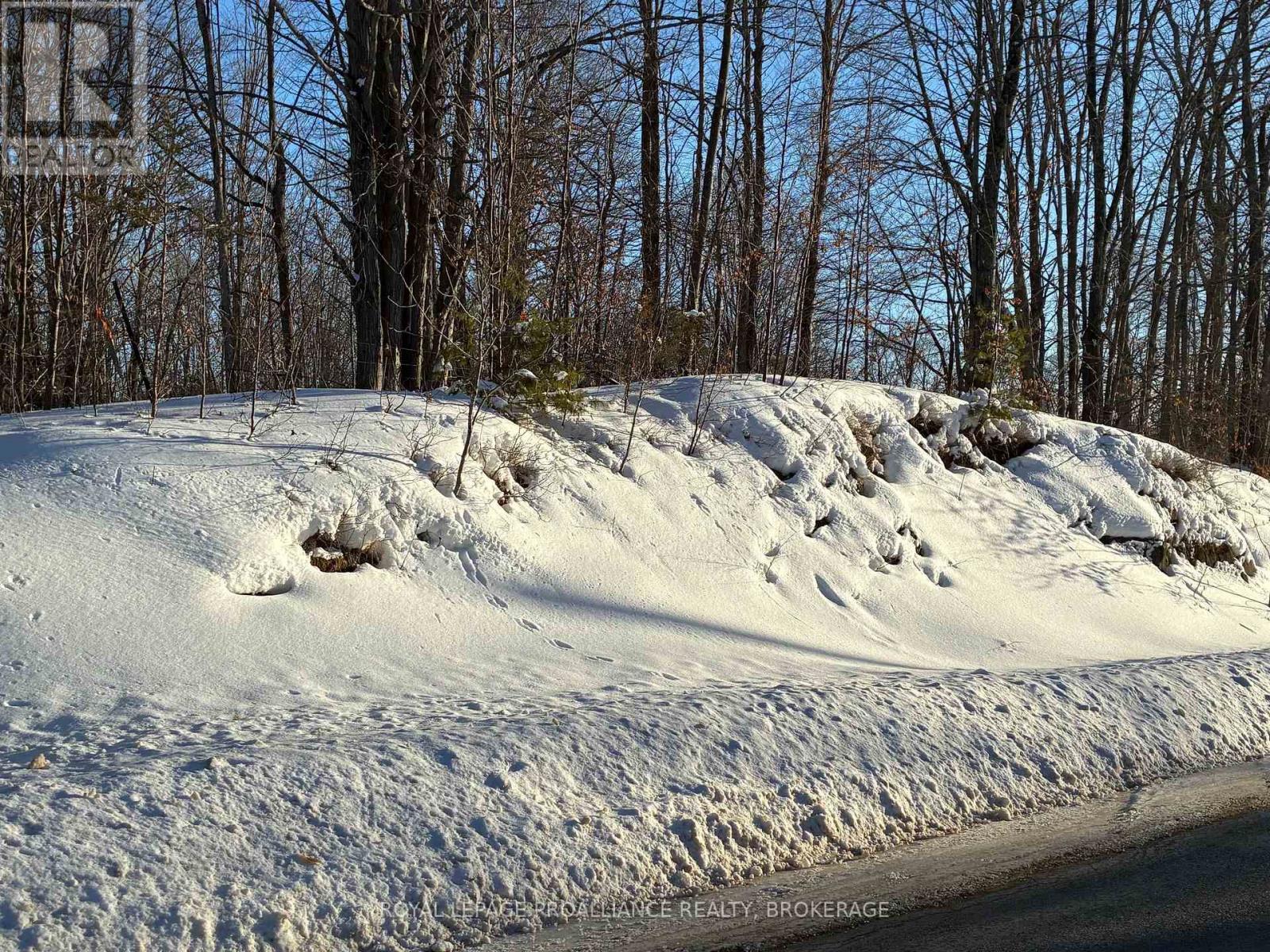 Pt Lt 2 Desert Lake Road, Frontenac, Ontario K0H 2W0 - Photo 2 - X12811800