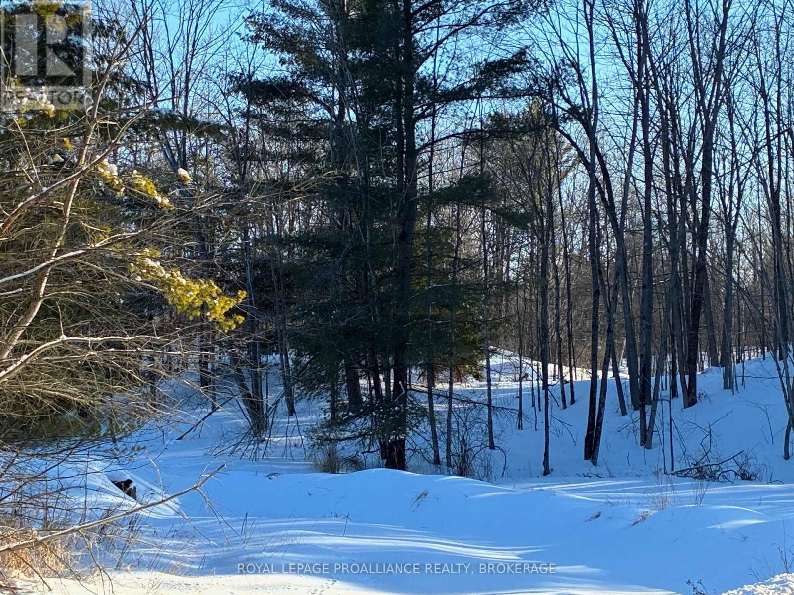 Pt Lt 2 Desert Lake Road, Frontenac, Ontario K0H 2W0 - Photo 6 - X12811800