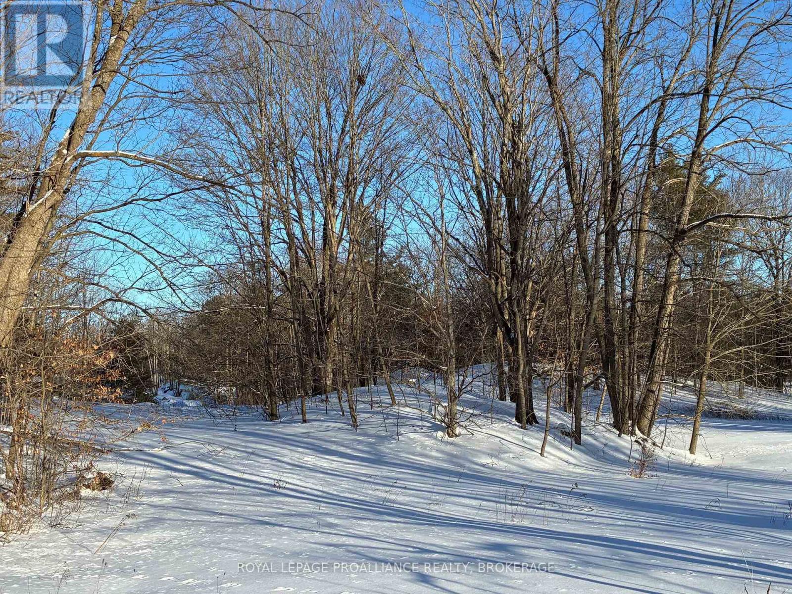Pt Lt 2 Desert Lake Road, Frontenac, Ontario K0H 2W0 - Photo 9 - X12811800
