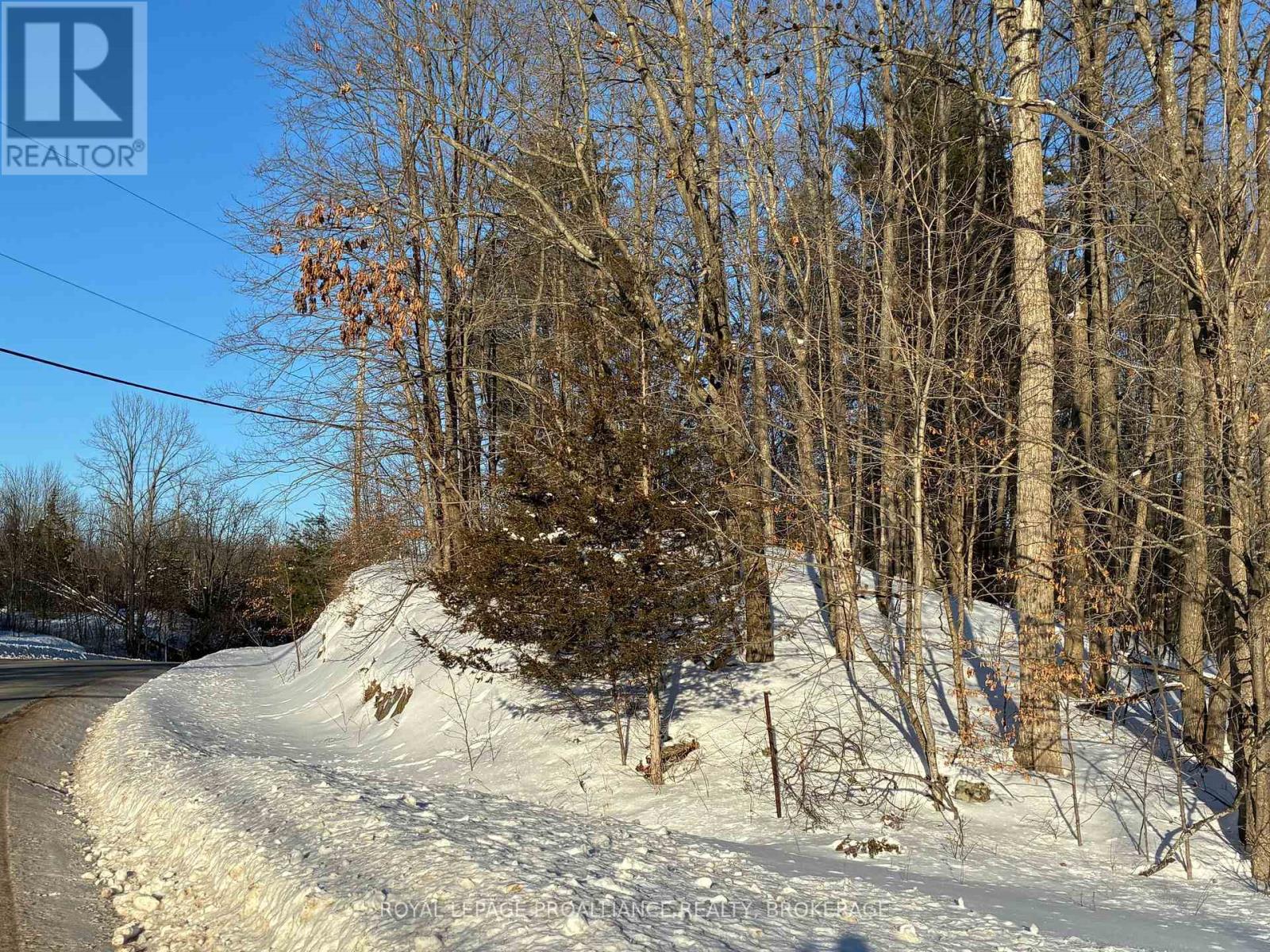 Pt Lt 2 Desert Lake Road, Frontenac, Ontario K0H 2W0 - Photo 5 - X12811800