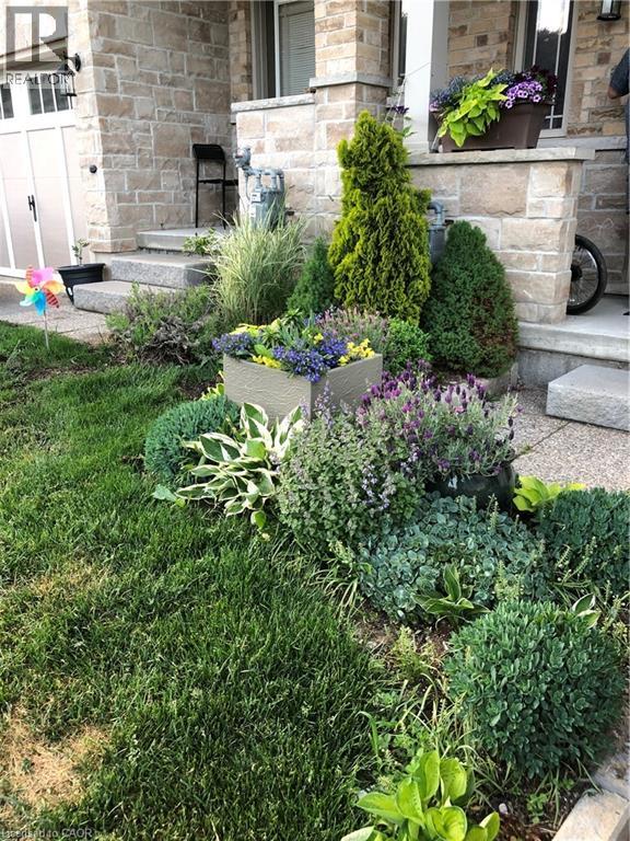 50 Greenwater Street, Kitchener, Ontario  N2R 0H2 - Photo 43 - 40806189