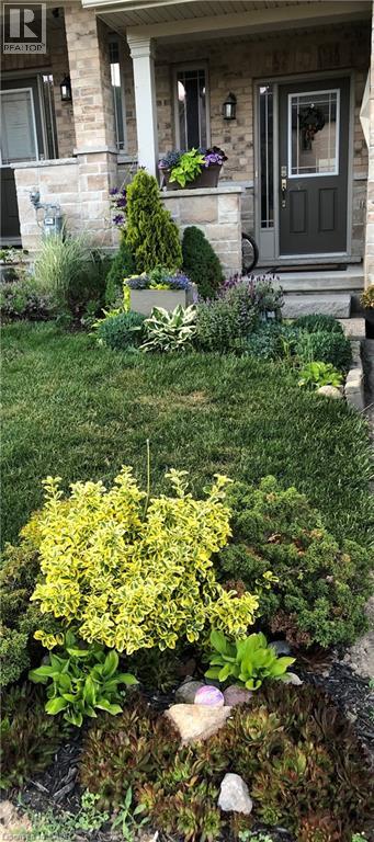 50 Greenwater Street, Kitchener, Ontario  N2R 0H2 - Photo 44 - 40806189