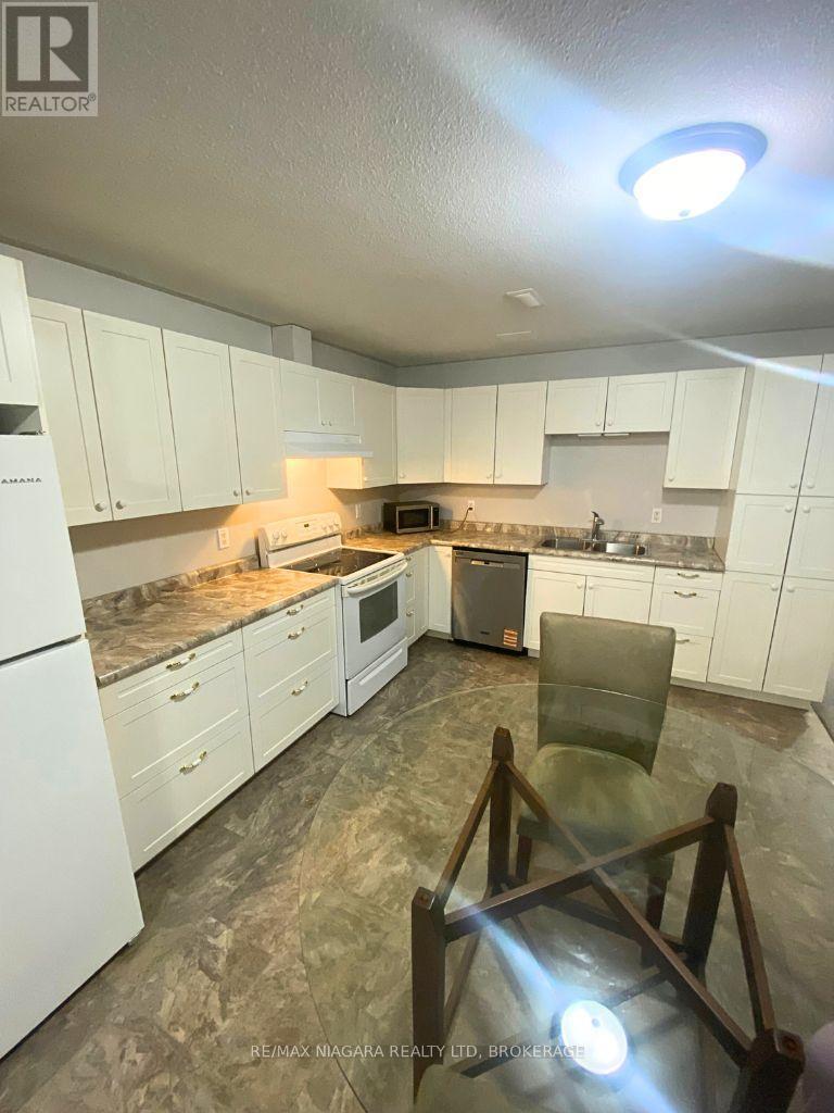 Lower - 355 Draper's Street, Welland, Ontario  L3C 0A1 - Photo 6 - X12822820