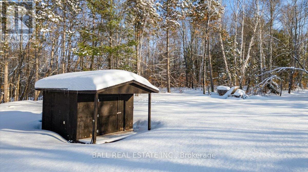 250 Lakeview Road, Bancroft, Ontario  K0L 1C0 - Photo 42 - X12822618