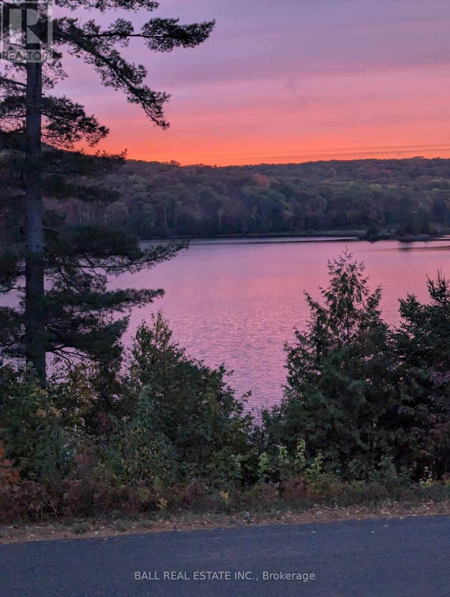 250 Lakeview Road, Bancroft, Ontario  K0L 1C0 - Photo 45 - X12822618