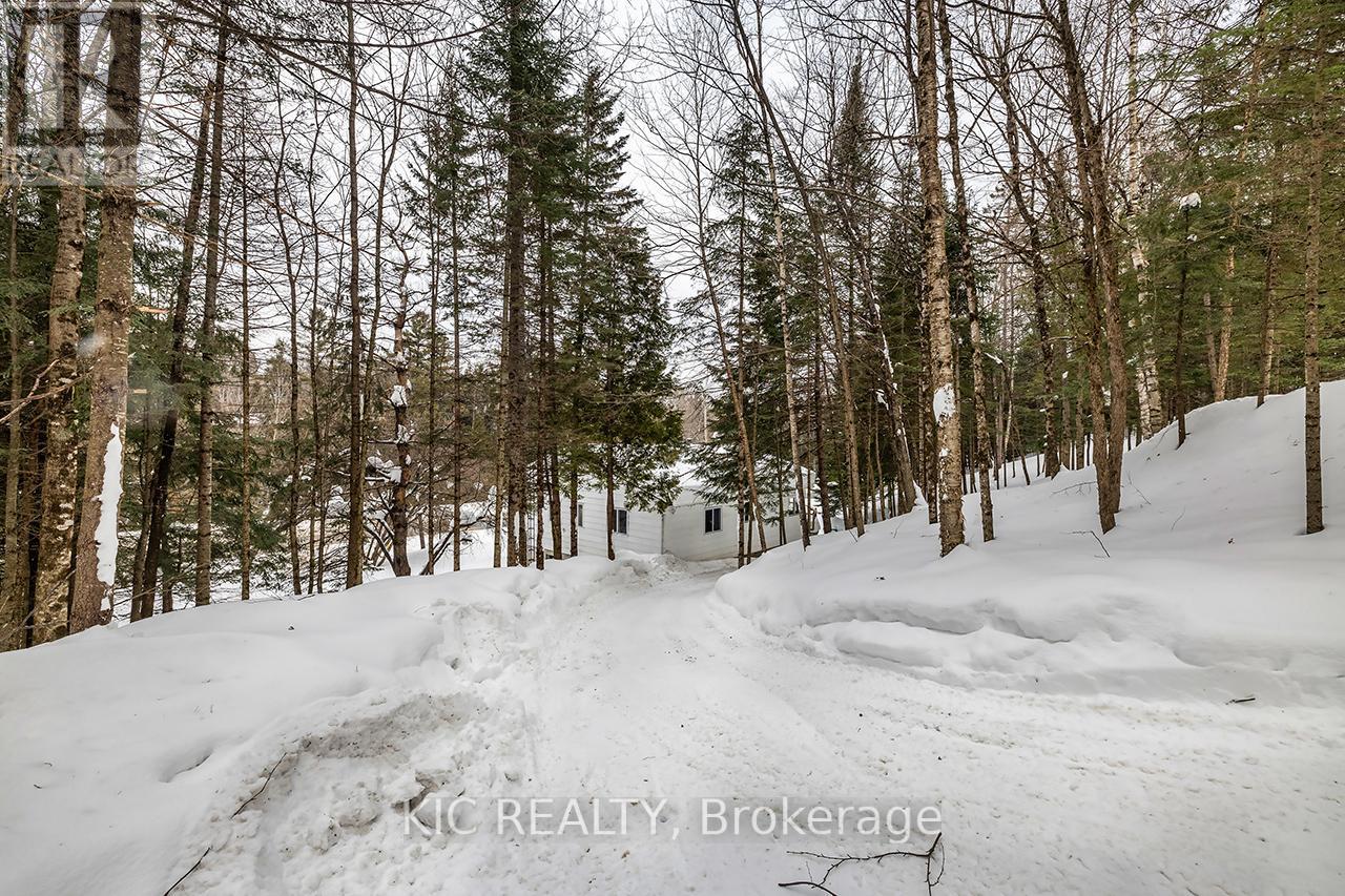 14202 Highway 118 Highway E, Dysart Et Al, Ontario  K0M 1S0 - Photo 33 - X12822620