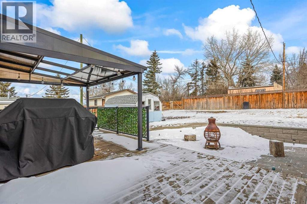 230 Frederick Avenue W, Standard, Alberta  T0J 3G0 - Photo 43 - A2288586