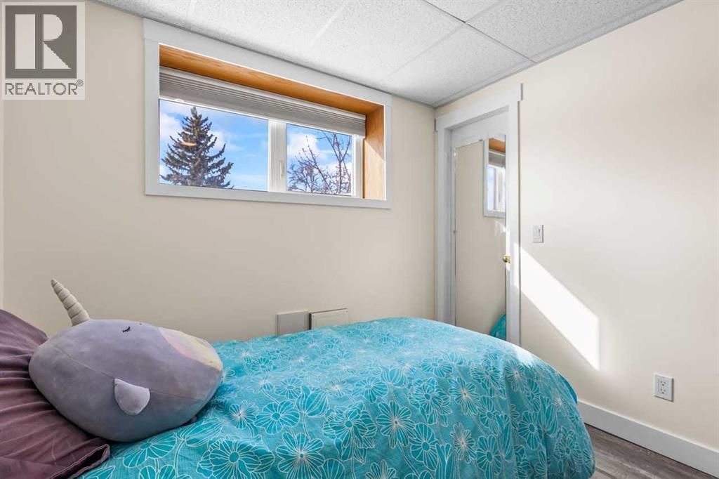 230 Frederick Avenue W, Standard, Alberta  T0J 3G0 - Photo 31 - A2288586