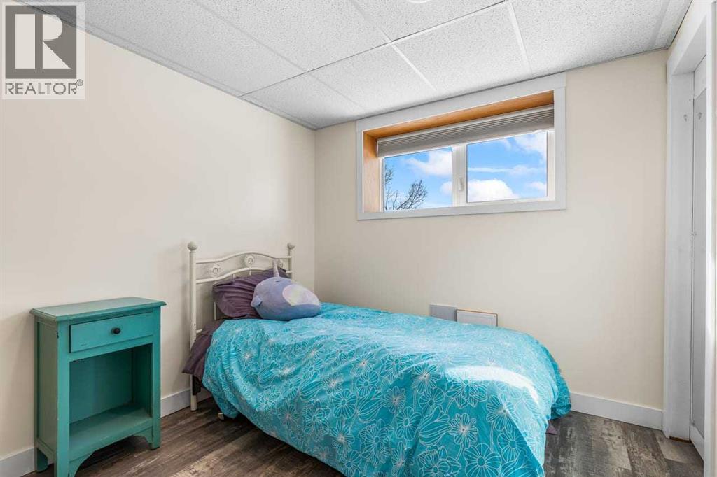 230 Frederick Avenue W, Standard, Alberta  T0J 3G0 - Photo 30 - A2288586